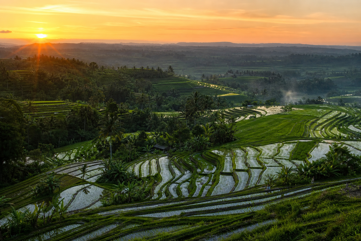 Nông nghiệp